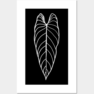 Philodendron melanochrysum Posters and Art